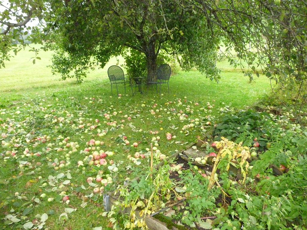 Herbst in Unterstein