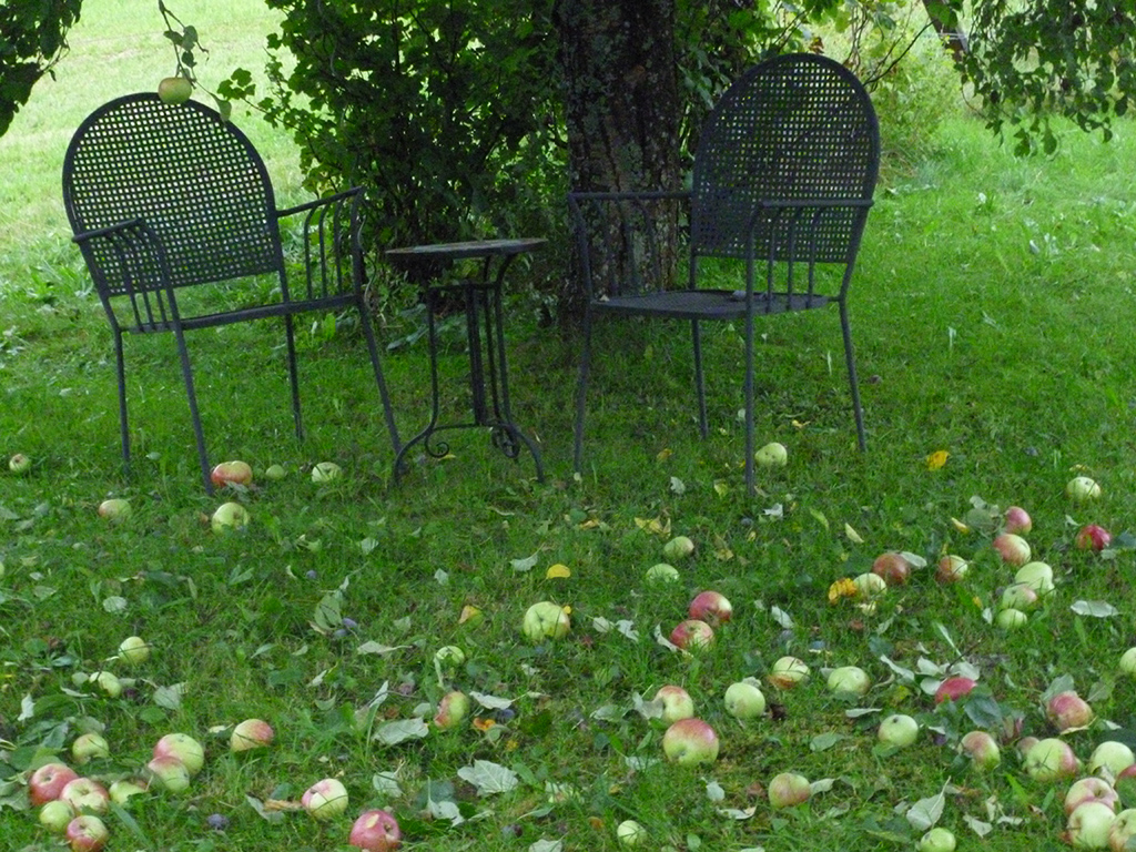 Herbst in Unterstein